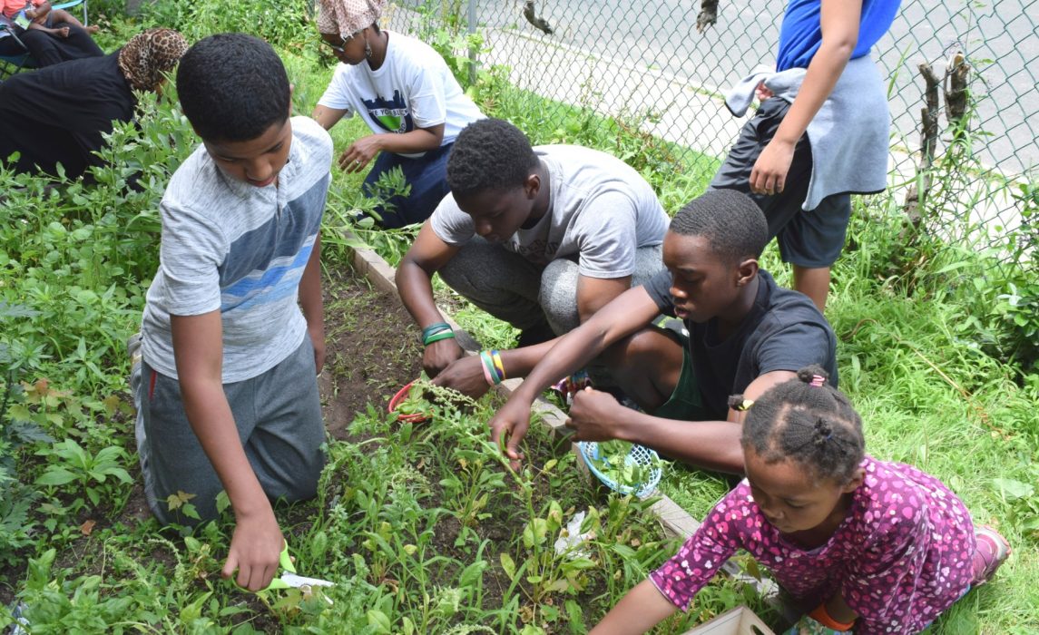 Watch: Love Your Block Increases Civic Pride in Hartford - Cities of ...